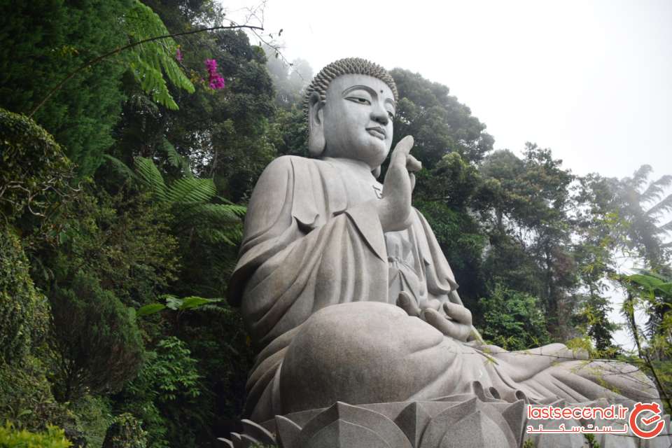 مجسمه بودا در گل نیلوفر