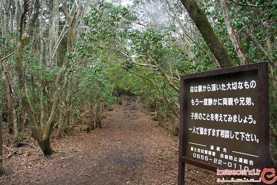 جنگل خودکشی ژاپن 