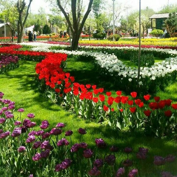 Karj Flower Garden (5).jpg