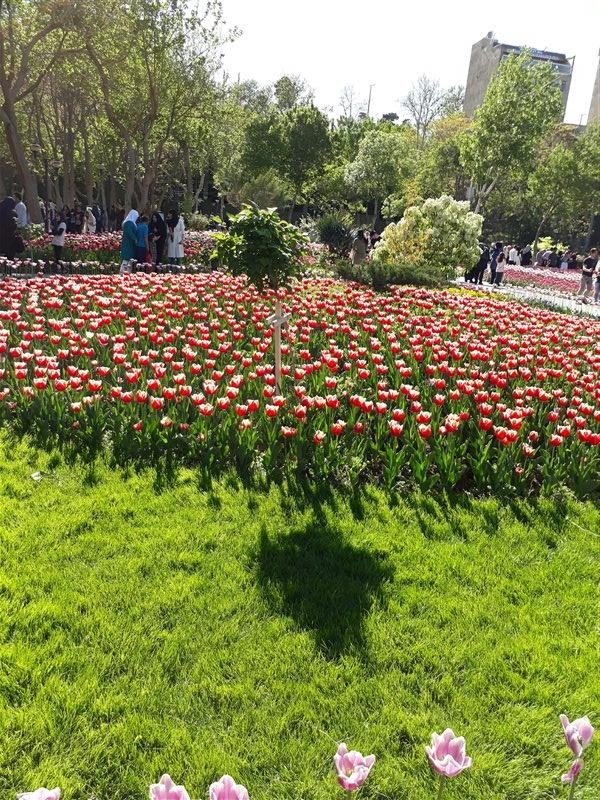 Karj Flower Garden (6).jpg