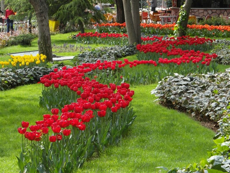 Karj Flower Garden (2).jpg