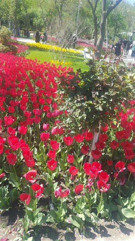 Karj Flower Garden (4).jpg