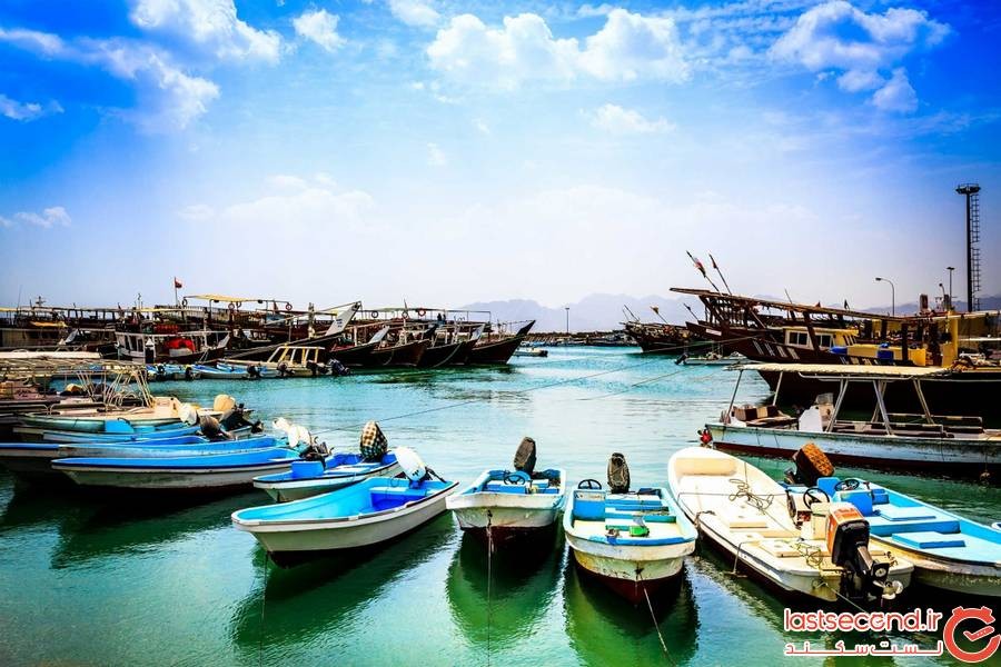 خساب، خانه‌ی دلفین‌های خلیج فارس