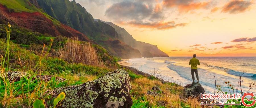 در هاوایی خوب بودن قانون است