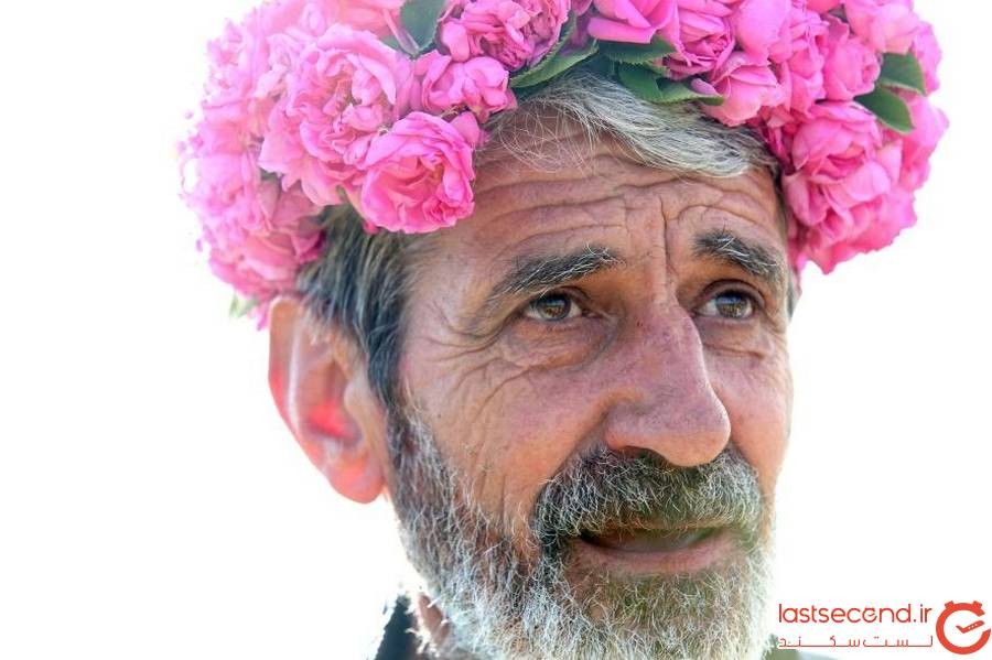 جشنواره‌ی برداشت گل محمدی در بلغارستان