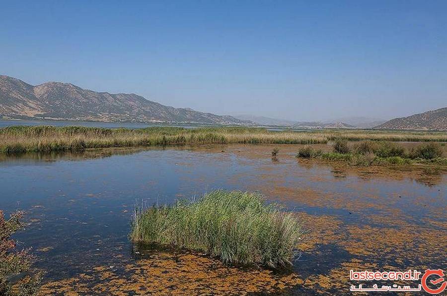 دریاچه‌ی زریوار کردستان