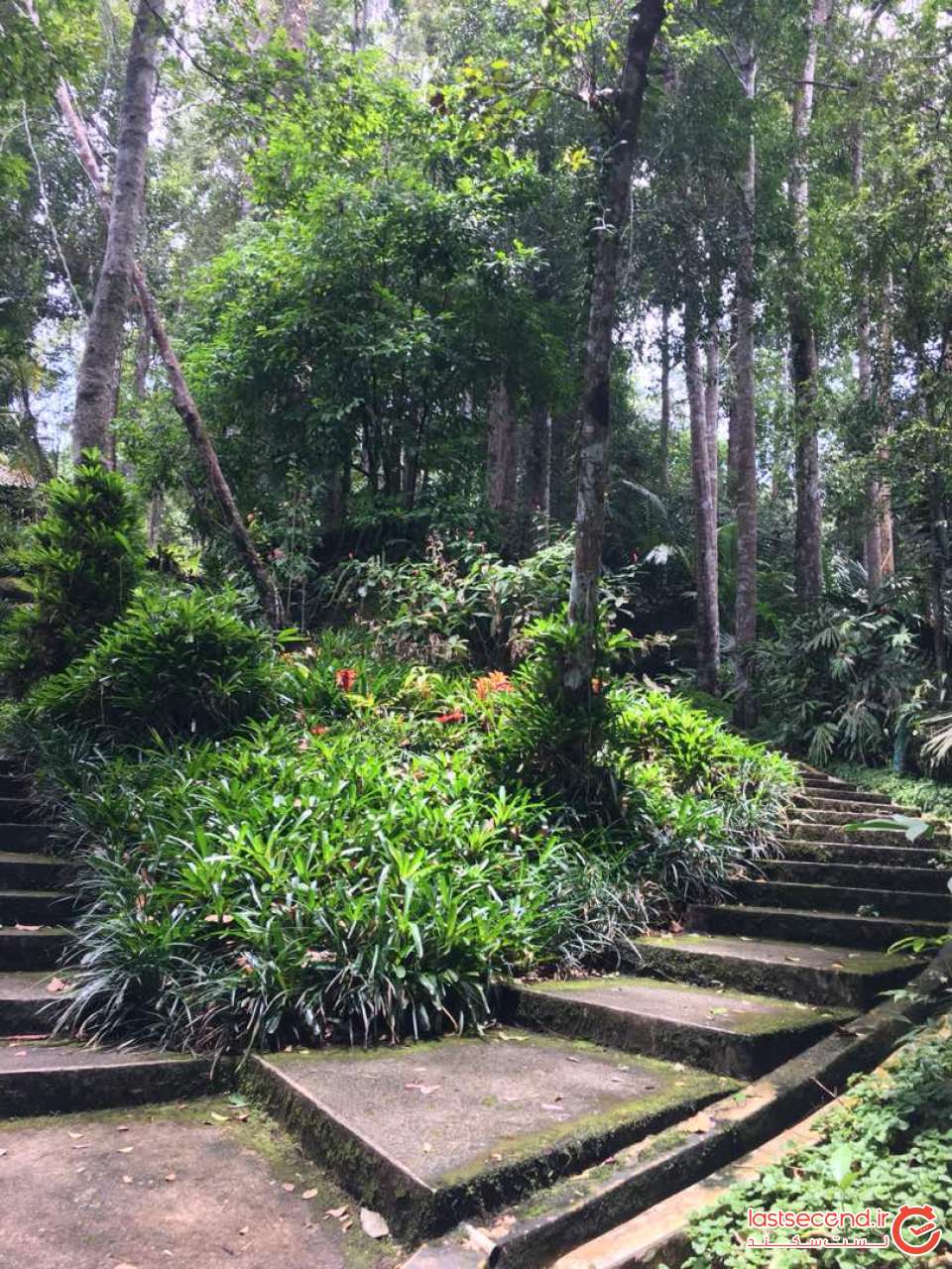 باغ ژاپنی ها کوآلالامپور