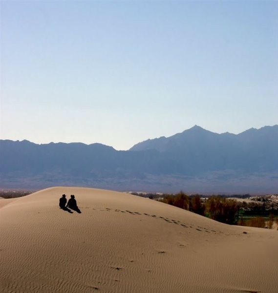 Desert Mesr (5).jpg