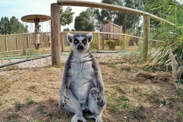 İzmir Natural Life Park (5).jpg
