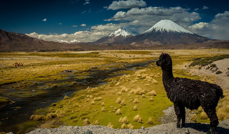 تصاویری شگفت انگیز از شیلی
