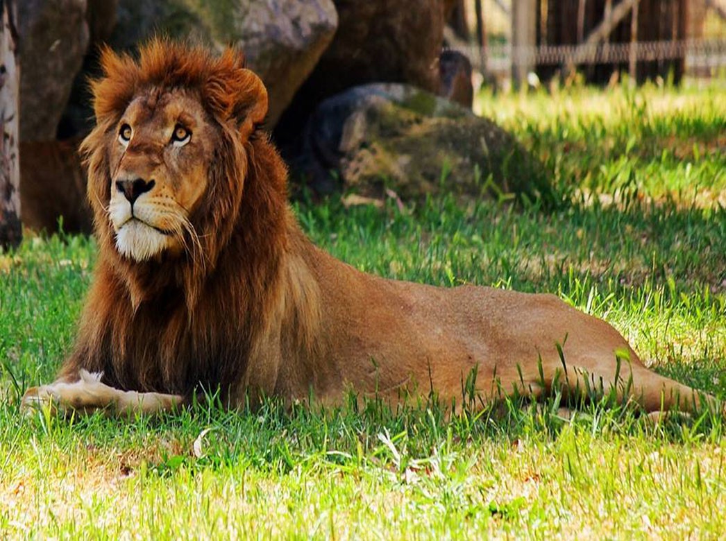 İzmir Natural Life Park (3).jpg
