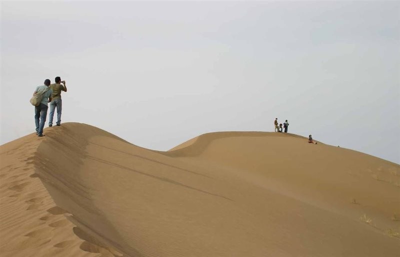 Desert Mesr (6).jpg