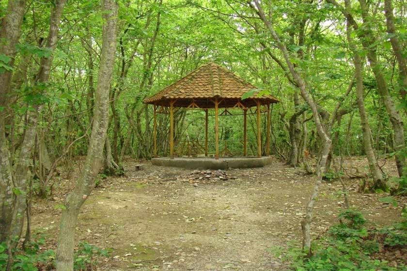 Saravan Forest Park (4).jpg
