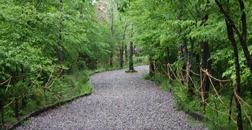 Saravan Forest Park (9).jpg