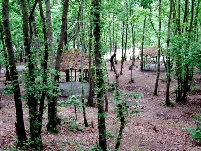 Saravan Forest Park (6).jpg