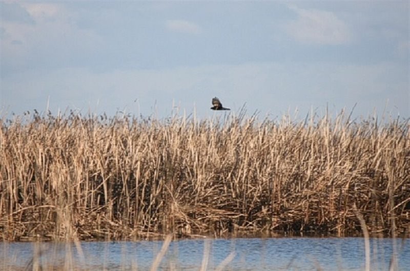 Bojagh national park (9).jpg