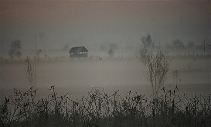 Bojagh national park (8).jpg