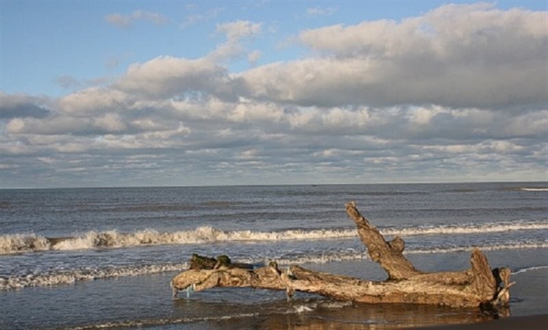Bojagh national park (6).jpg