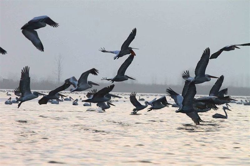 Bojagh national park (3).jpg