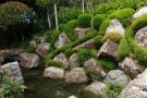 img-20180615-131833-largejpg.jpg