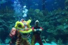 Aquaria KLCC (8).jpg