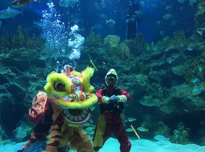 Aquaria KLCC (8).jpg