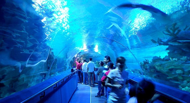 Aquaria KLCC (5).jpg