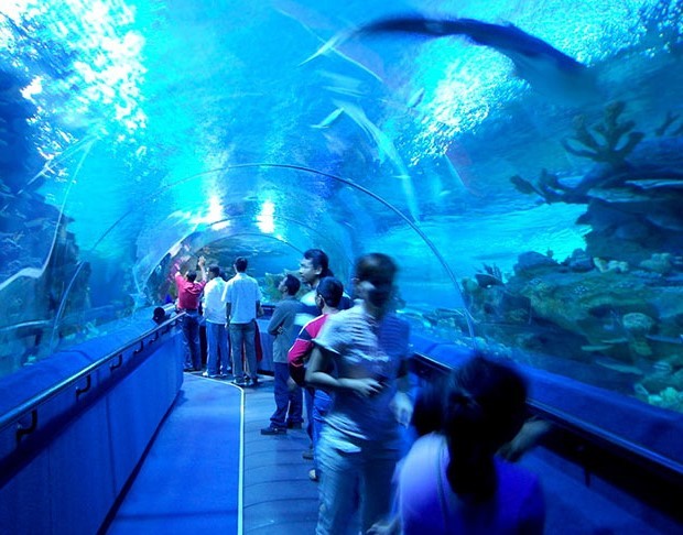 Aquaria KLCC (7).jpg