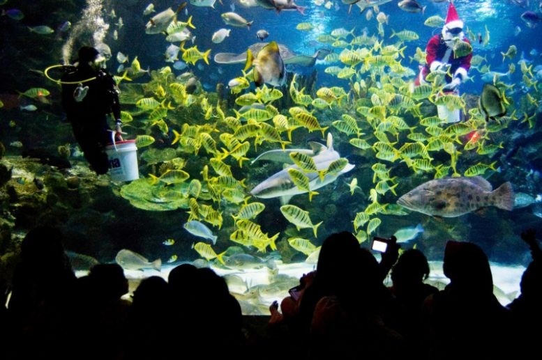 Aquaria KLCC (1).jpg