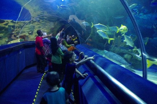 Aquaria KLCC (3).jpg