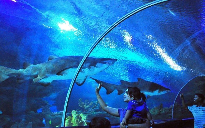 Aquaria KLCC (4).jpg
