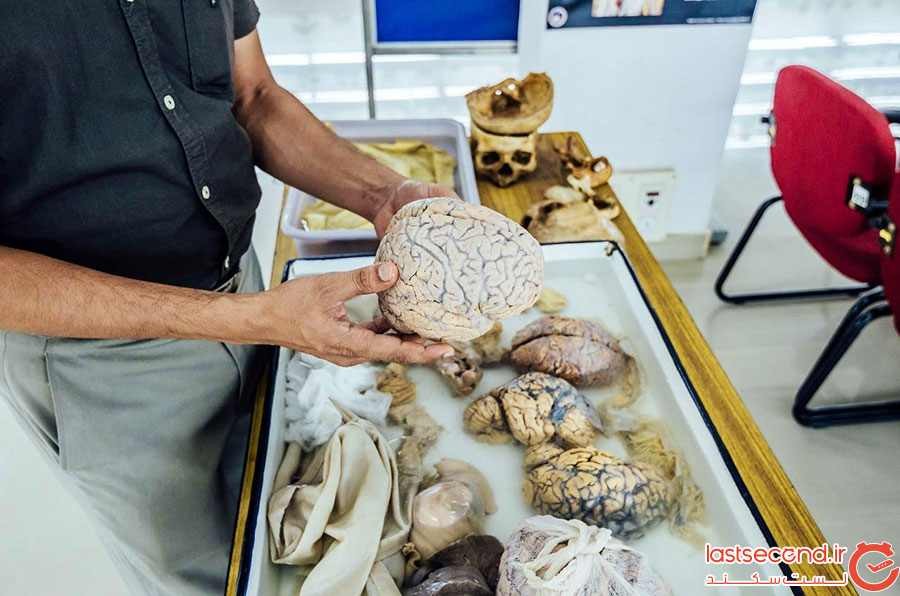 موزه مغز هند