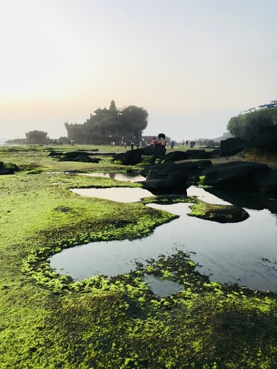 Tanah Lot Temple (13).jpg