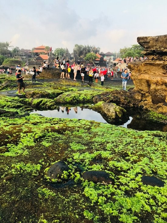 Tanah Lot Temple (9).jpg