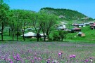 Village Subate (5).jpg