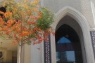 Souk Al Bahar (14).jpg