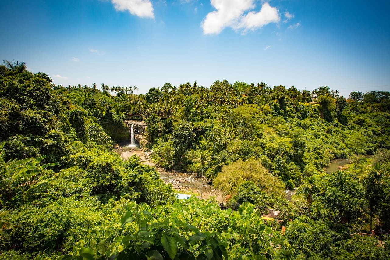 Tegenungan Waterfall (1).jpg