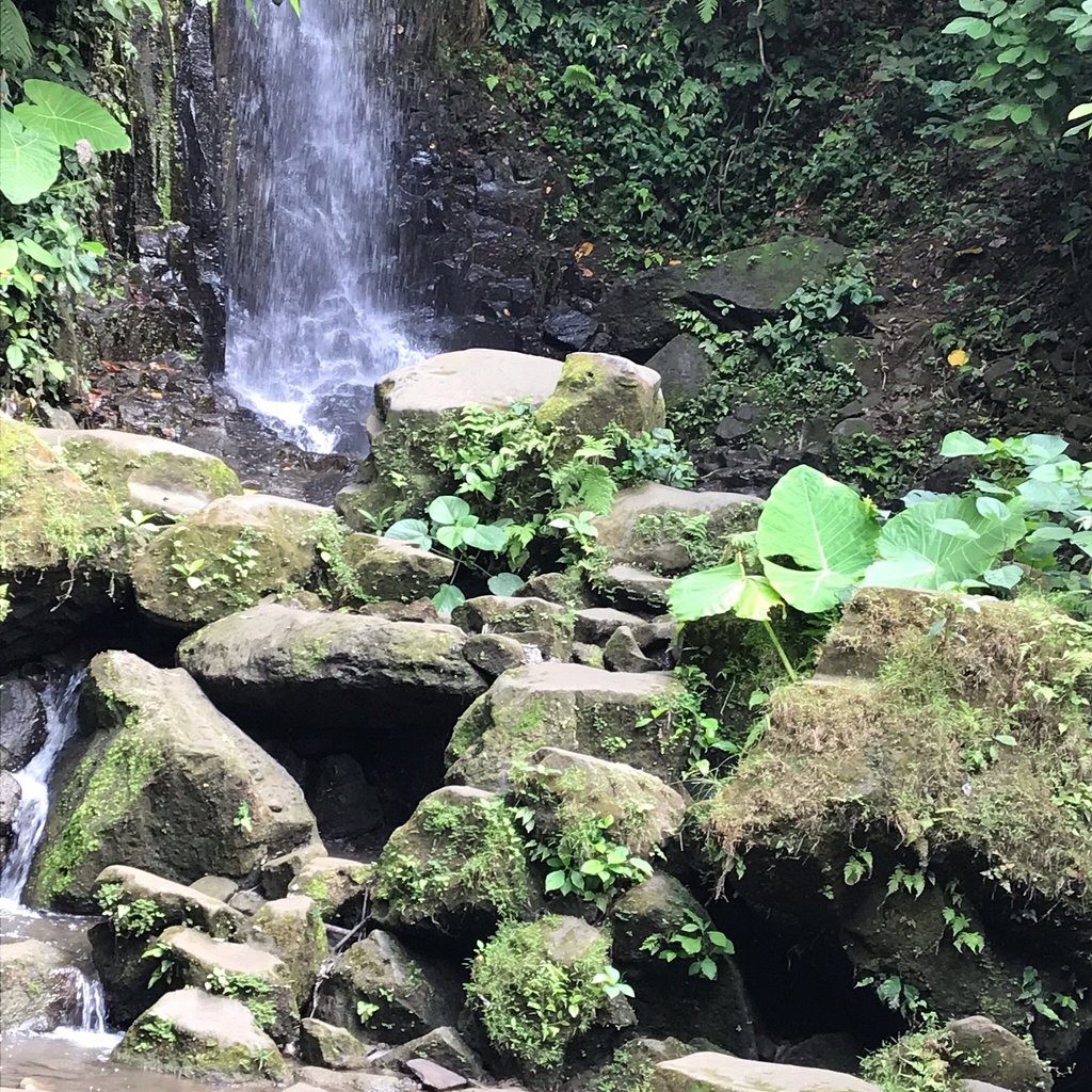 Tegenungan Waterfall (3).jpg