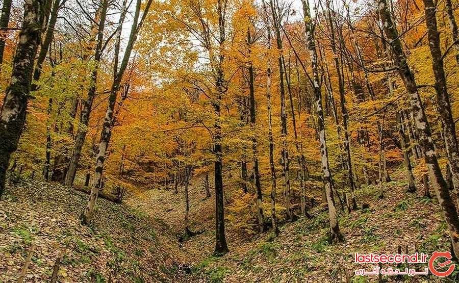 Asalem To Khalkhal Road (9).jpeg