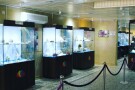 Isfahan Seashell Museum (10).jpg