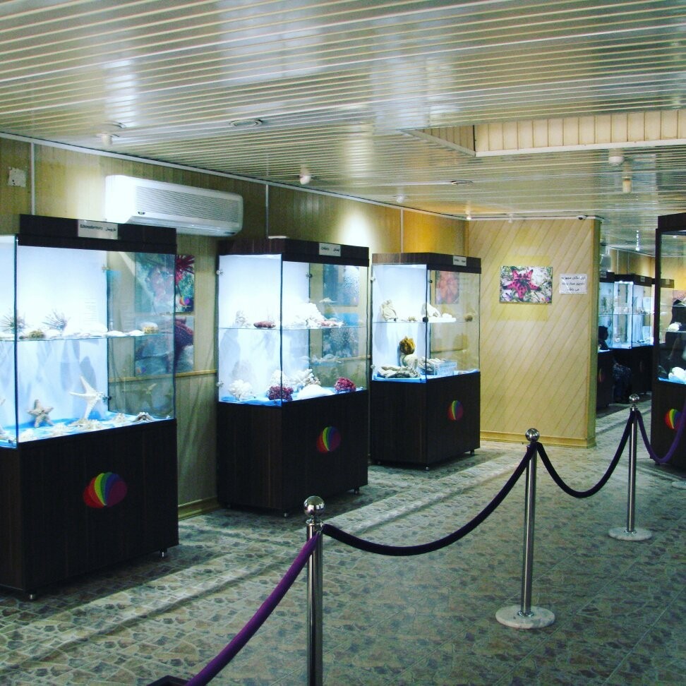 Isfahan Seashell Museum (10).jpg