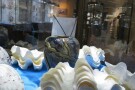 Isfahan Seashell Museum (8).jpg