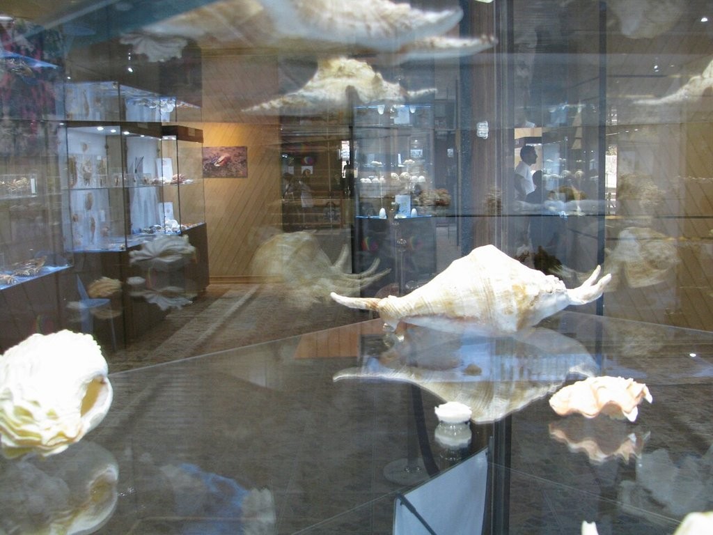 Isfahan Seashell Museum (9).jpg