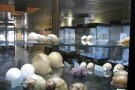 Isfahan Seashell Museum (6).jpg