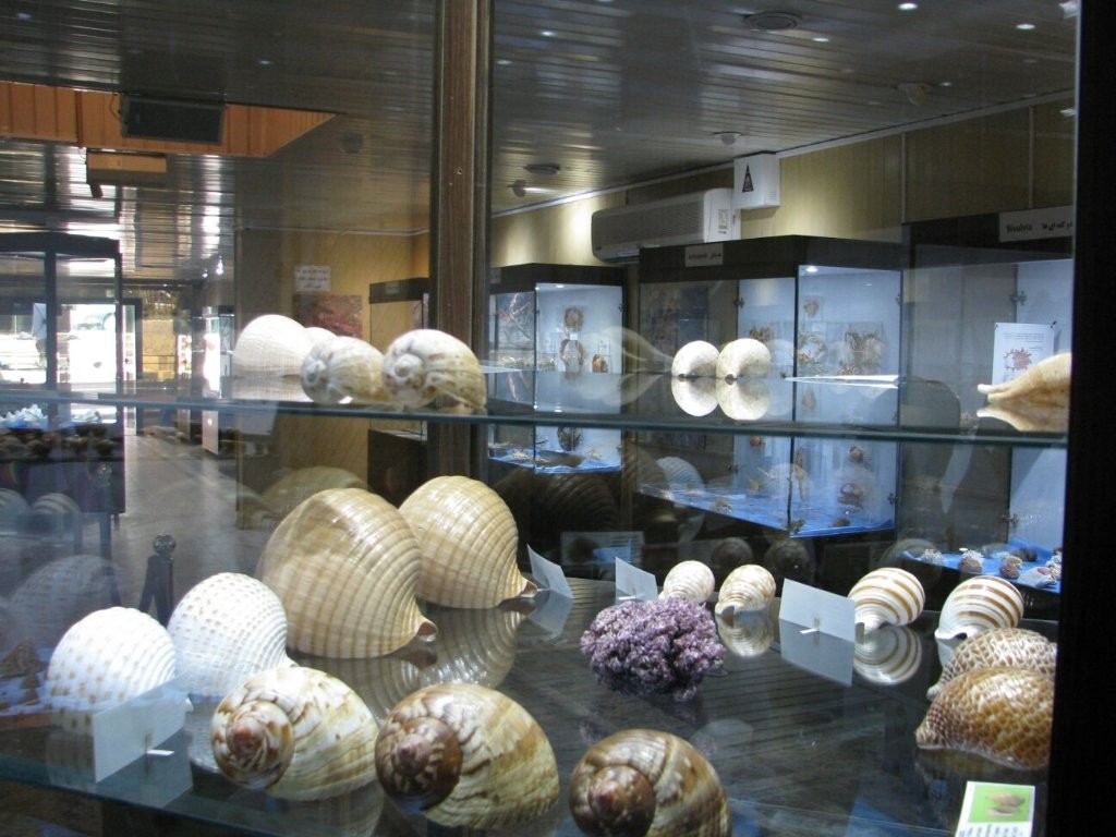 Isfahan Seashell Museum (6).jpg