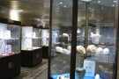 Isfahan Seashell Museum (2).jpg