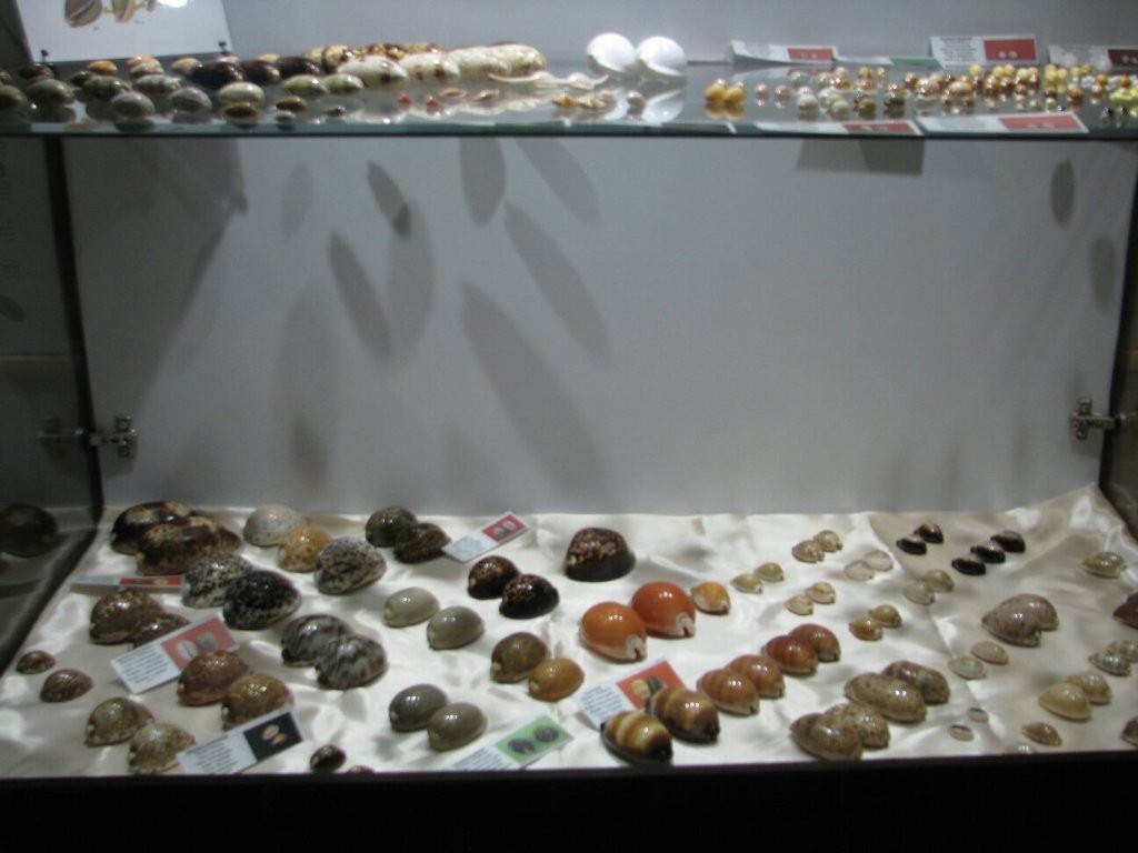 Isfahan Seashell Museum (4).jpg