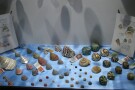 Isfahan Seashell Museum (11).jpg