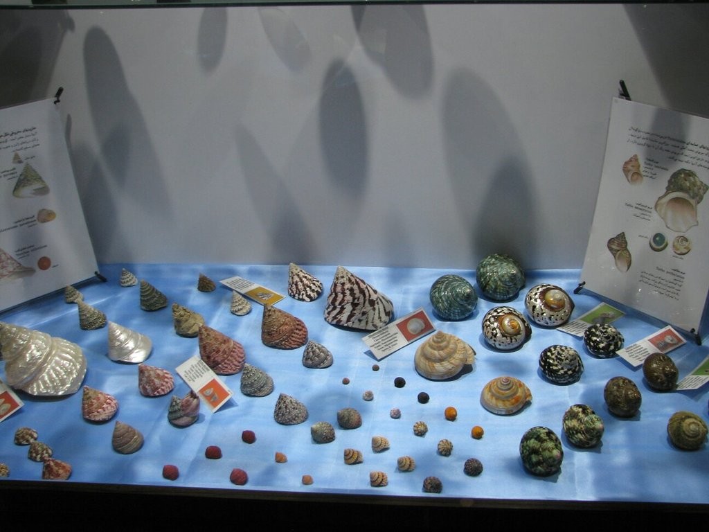 Isfahan Seashell Museum (11).jpg