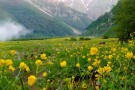 Dariasar plain (5).jpg
